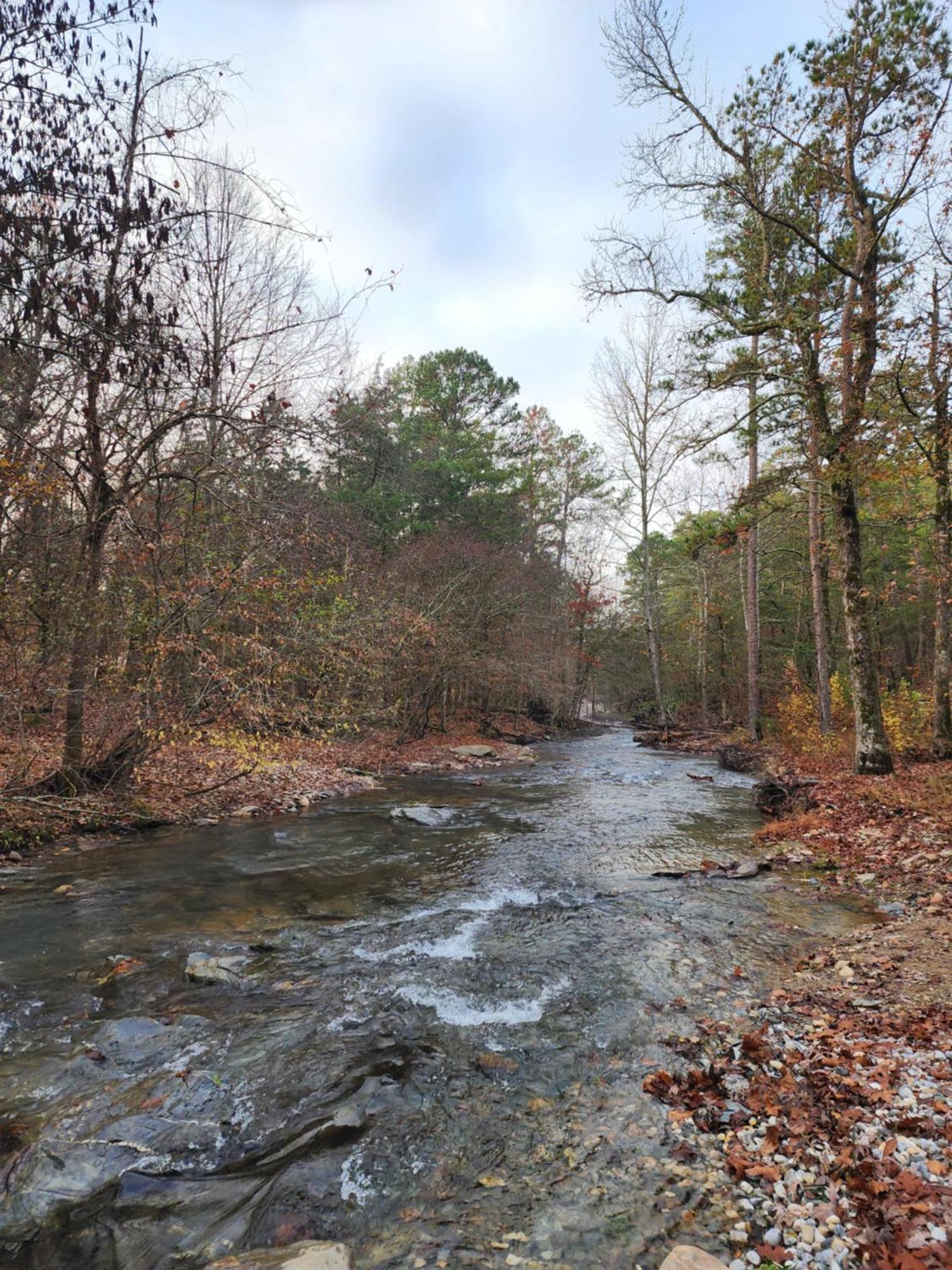 Luxurious Retreat! Private Creek View, Hot-Tub, Pool Βίλα Χοτ Σπρινγκς Εξωτερικό φωτογραφία